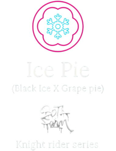 ICE PIE FEM X5