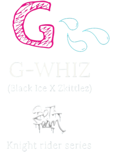 G-WHIZ FEM X5