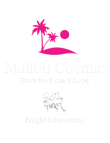 MALIBU COSMIC FEM X5