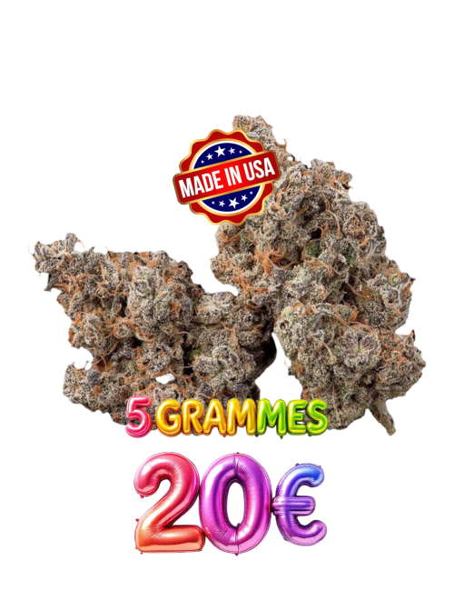 CALI FARMS🍭