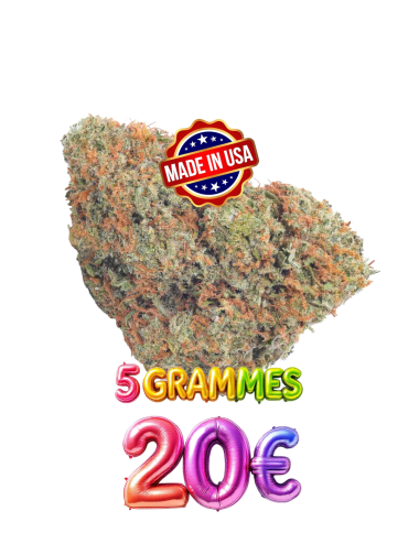 CALI WHITE💦