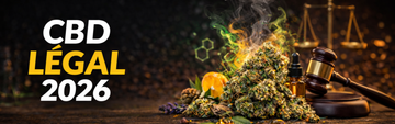 CBD légal en France (2026)