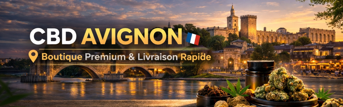 CBD Avignon : Boutique Premium & Livraison Rapide (Fleurs, Résines)