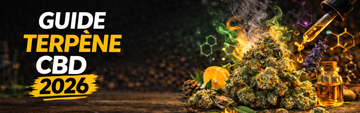 Guide terpene cbd 2026