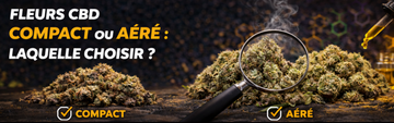 Fleur CBD compacte ou aérée : laquelle choisir ? | Guide 2026