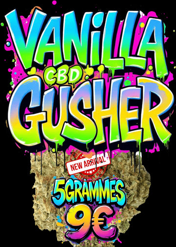 VANILLA GUSHER 🧁