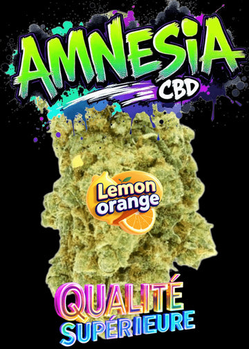 AMNESIA CBD 🇨🇭