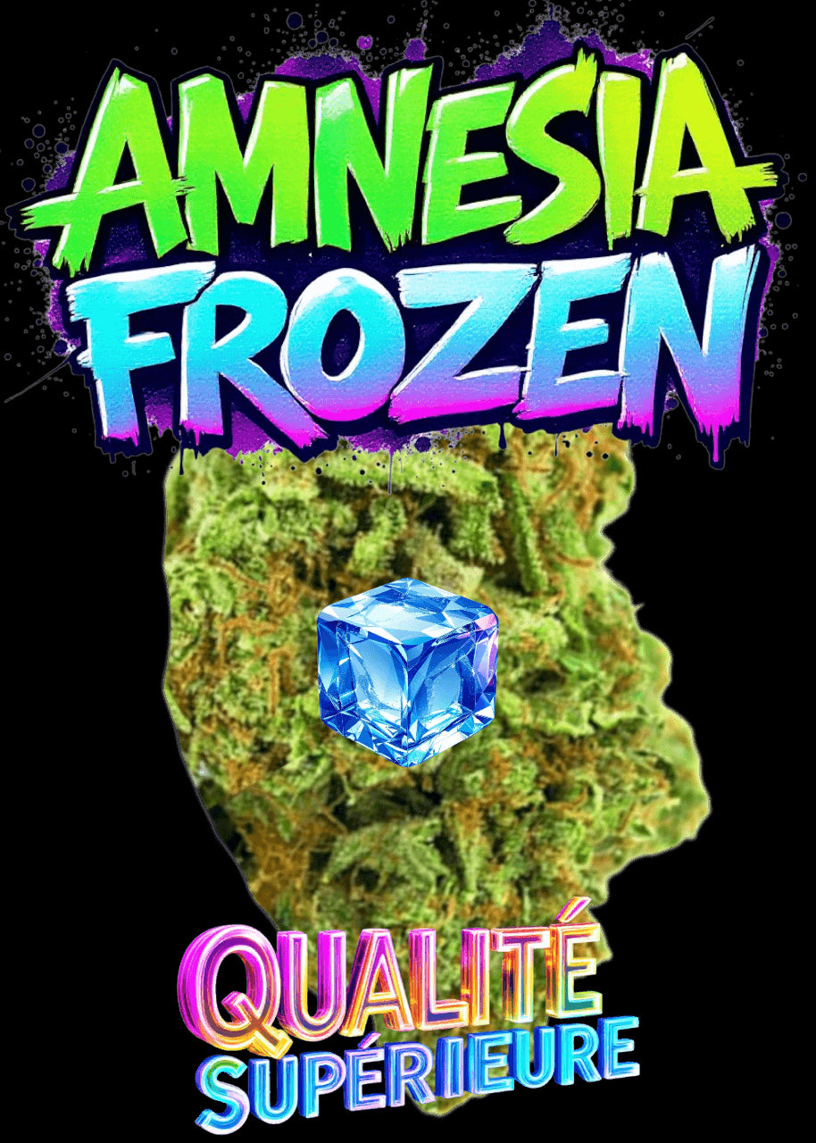 AMNESIA FROZEN
