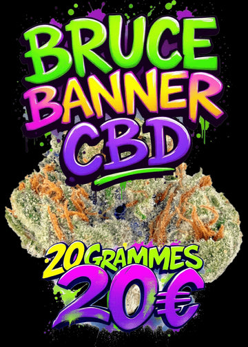 BRUCE BANNER 💐