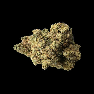 AMNESIA CBD