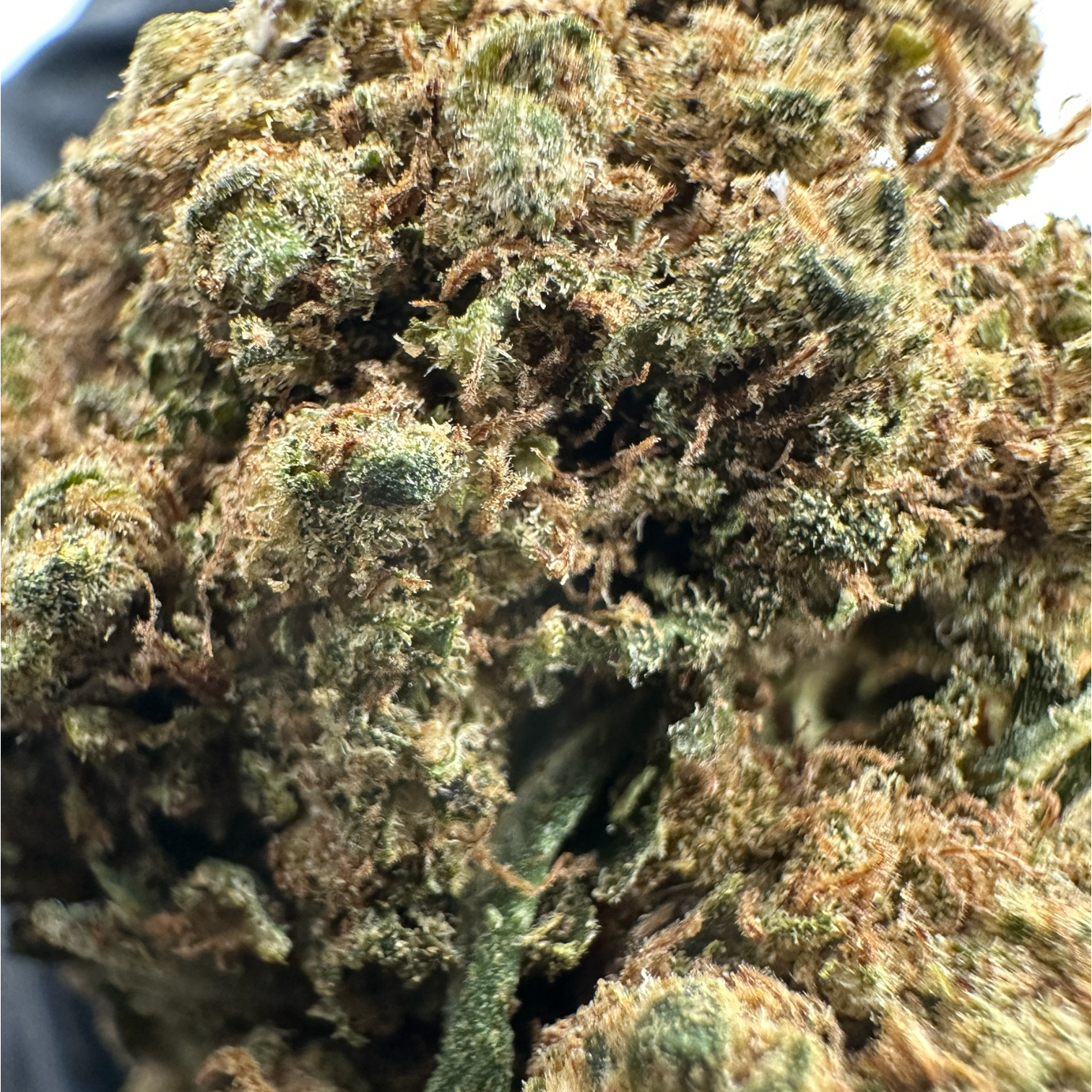 AMNESIA CBD