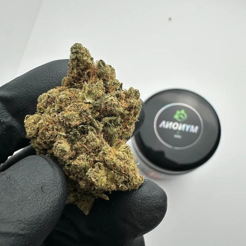 AMNESIA CBD