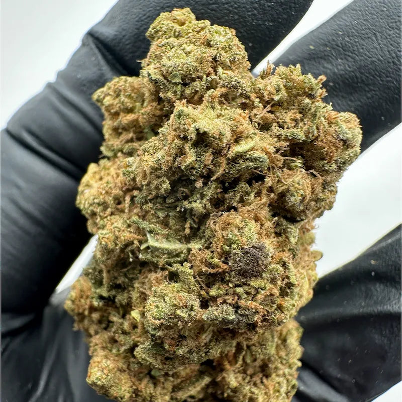 AMNESIA CBD