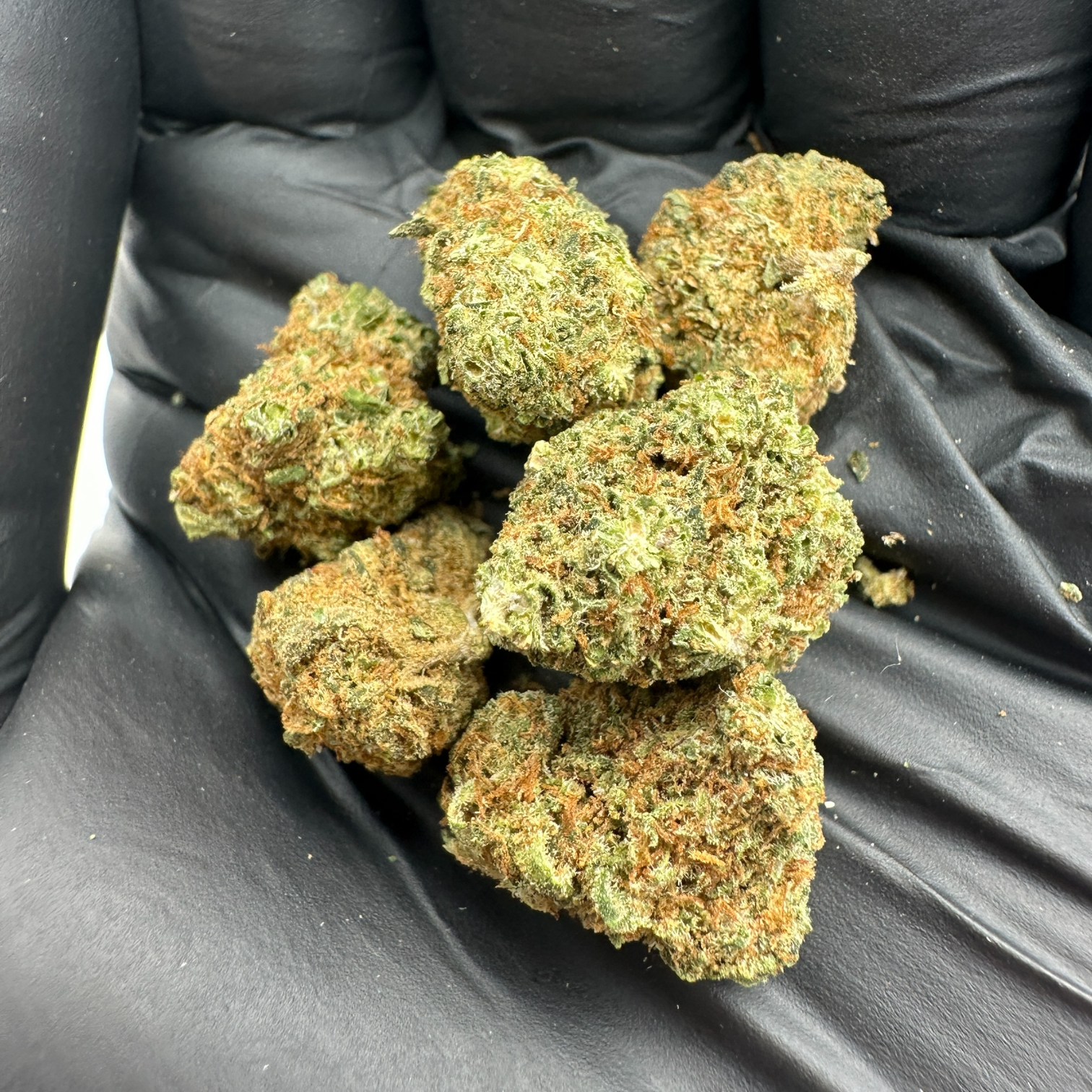 CALI BREEZE  🌬️