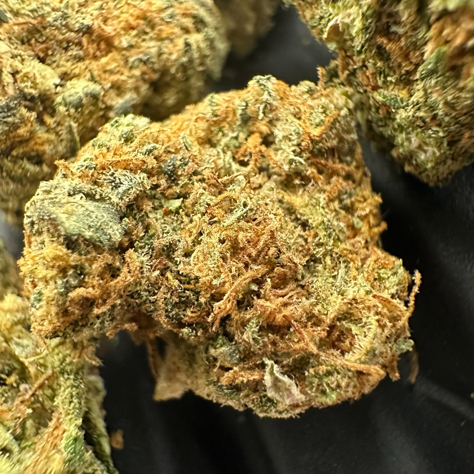 CALI BREEZE  🌬️