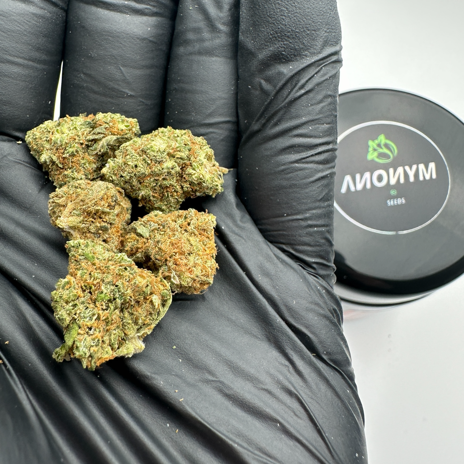 CALI BREEZE  🌬️