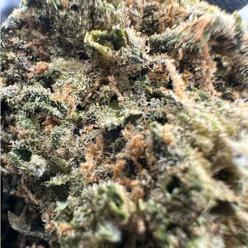 CALI DIAMOND