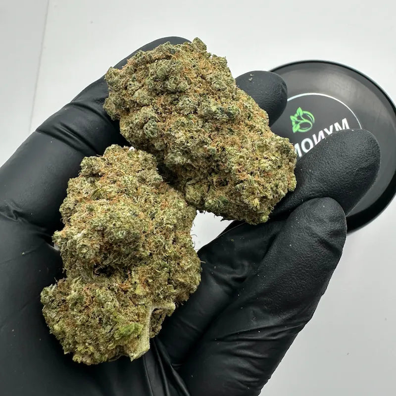 MALIBU HAZE