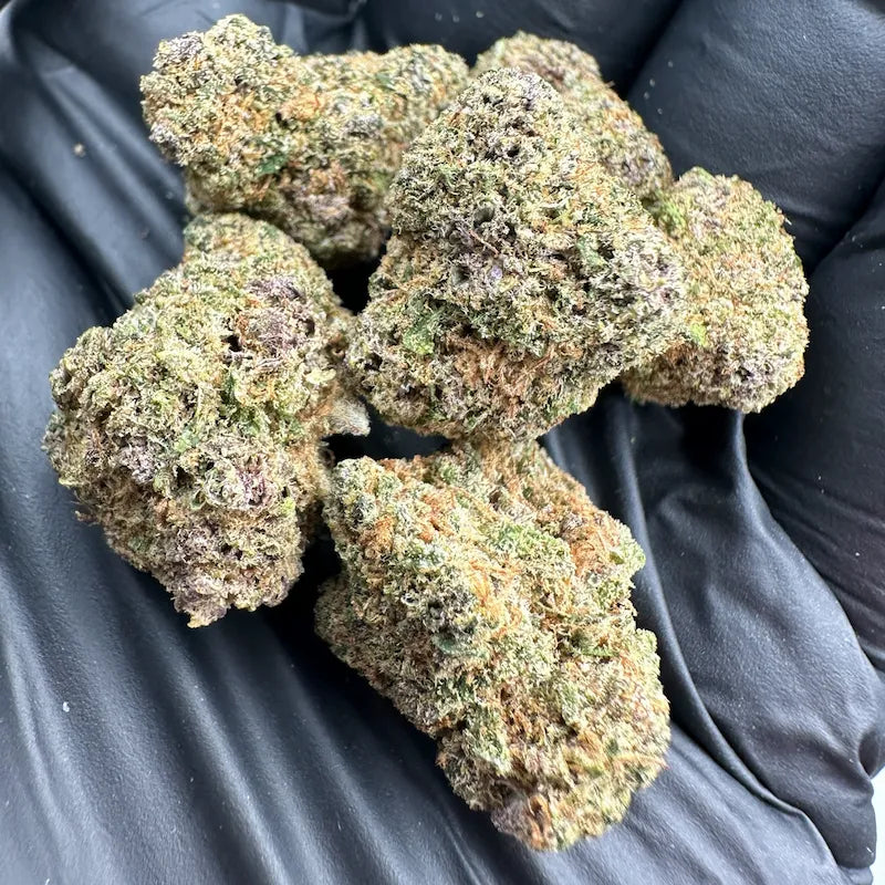 CALI PURPZ
