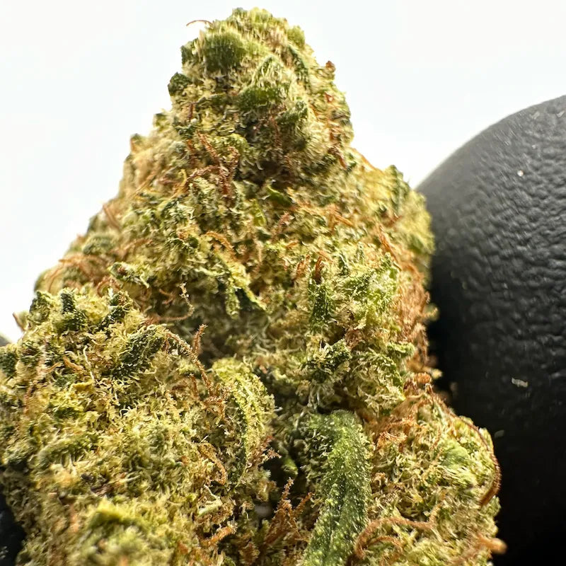 CALI WHITE