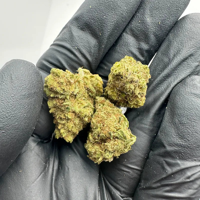 CALI WHITE