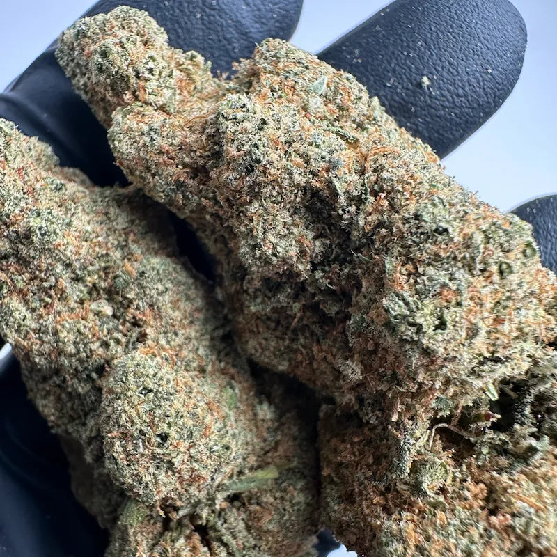 CALI ZKITTLES