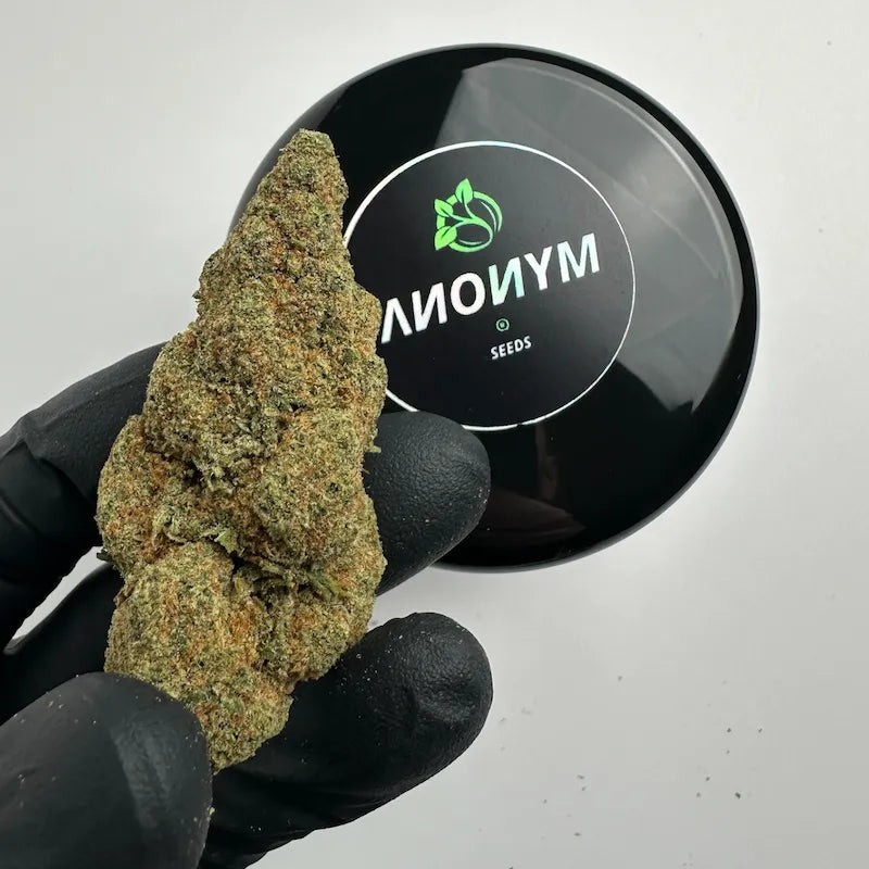 CALI ZKITTLES