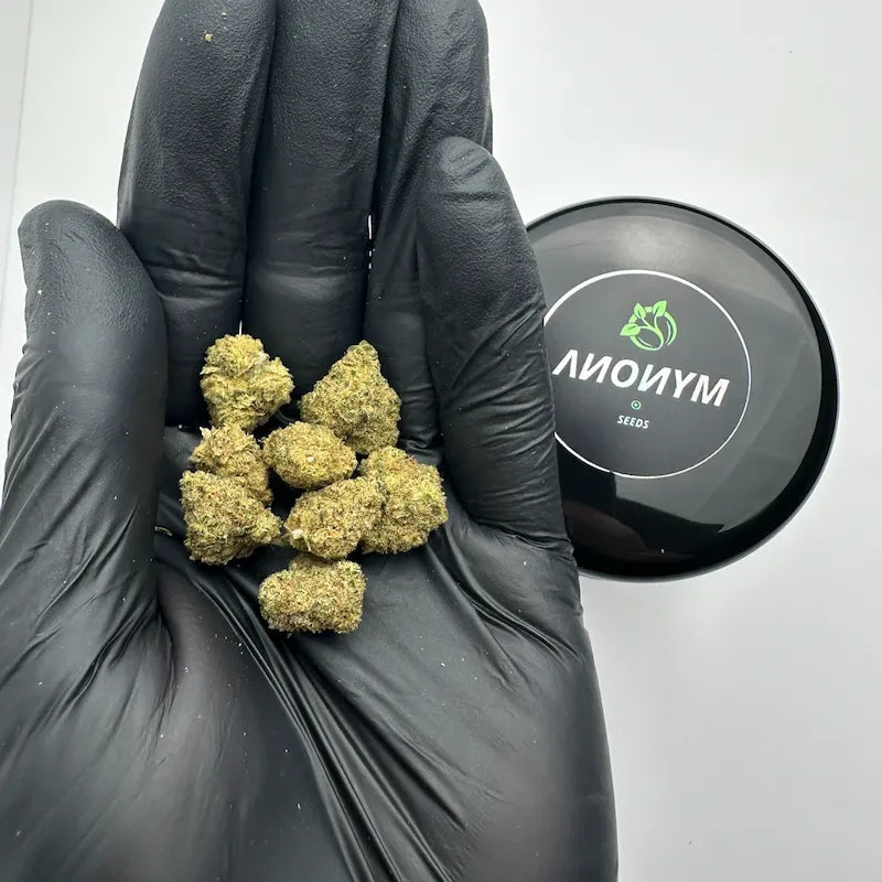 CALI FARMS