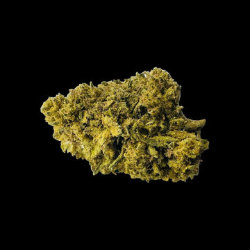 TROPICANNA