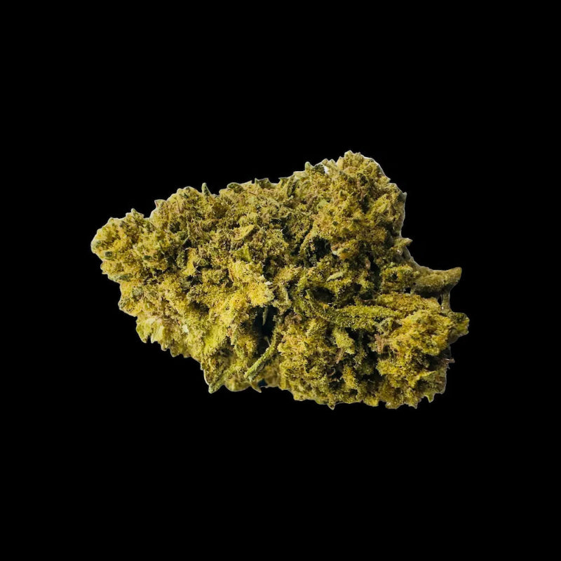 TROPICANNA