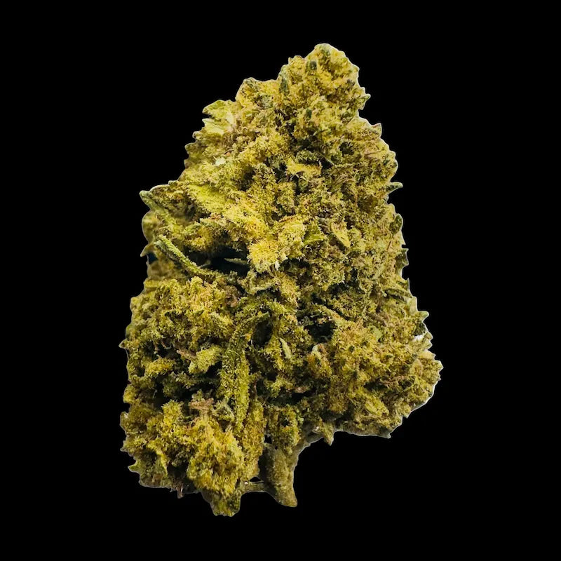 TROPICANNA