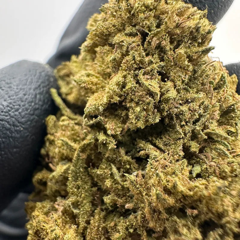 VANILLA
