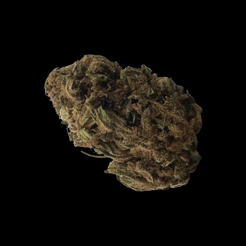 GELATO