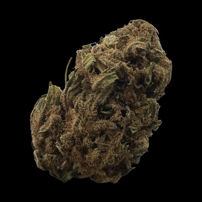 GELATO