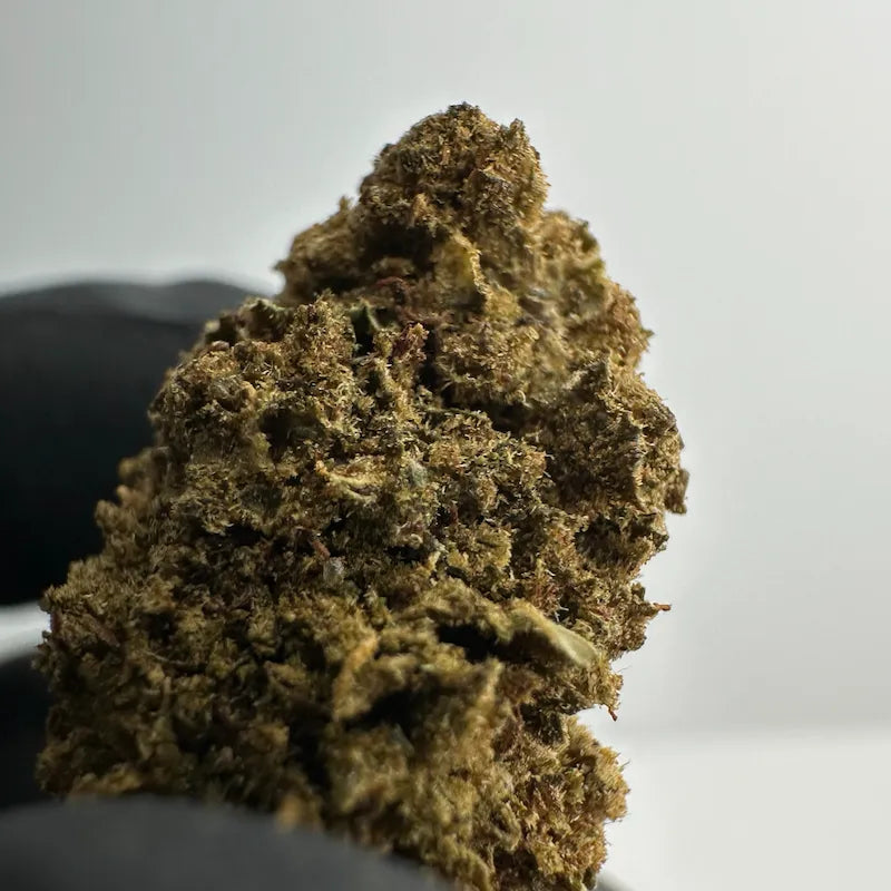 SKUNK CBD