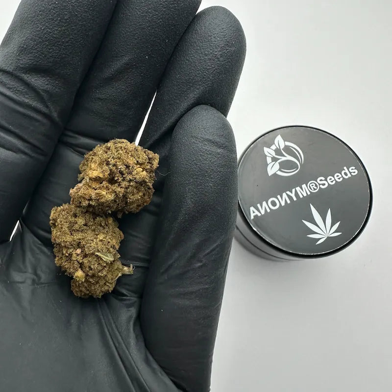 SKUNK CBD