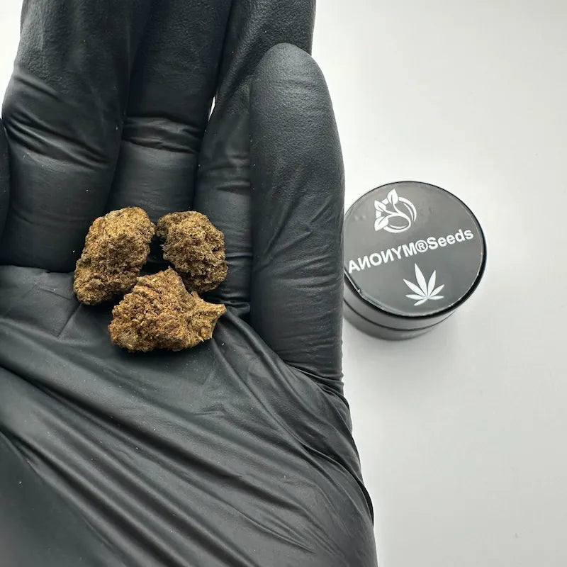 SOUR DIESEL
