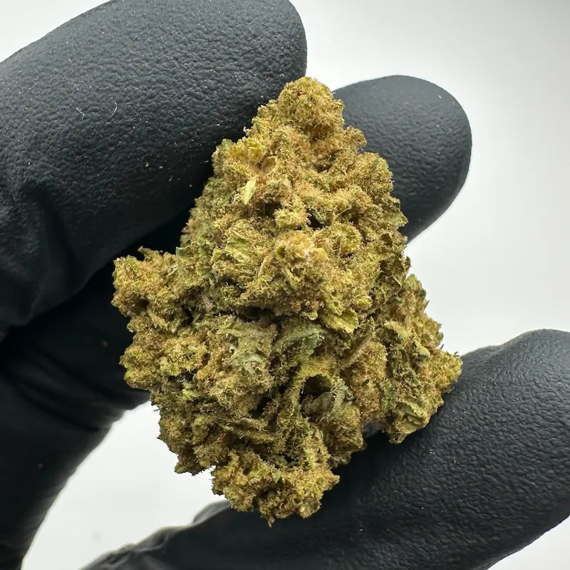 OG-KUSH