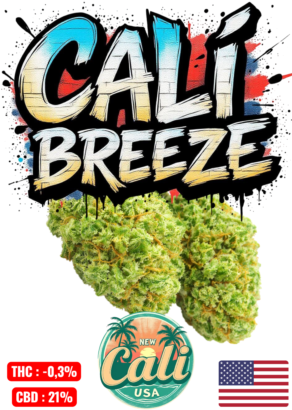 NIMES ALES UZES ARLES MONTPELLIER