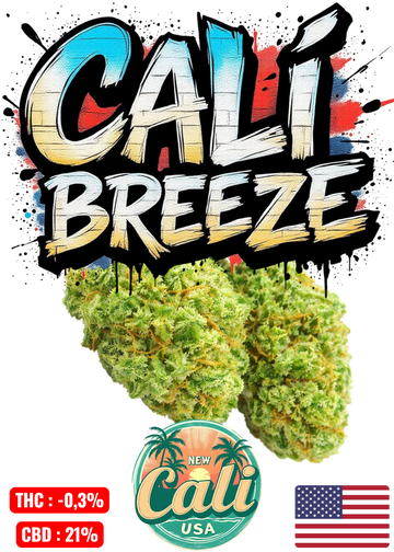 NIMES ALES UZES ARLES MONTPELLIER