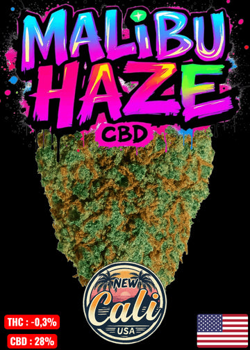 MALIBU HAZE 🌴