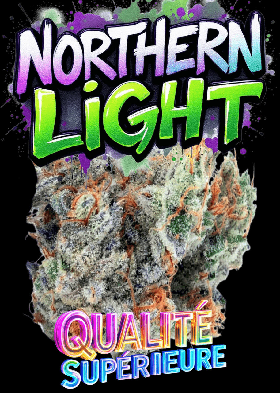 NORTHERN LIGHT🇺🇸