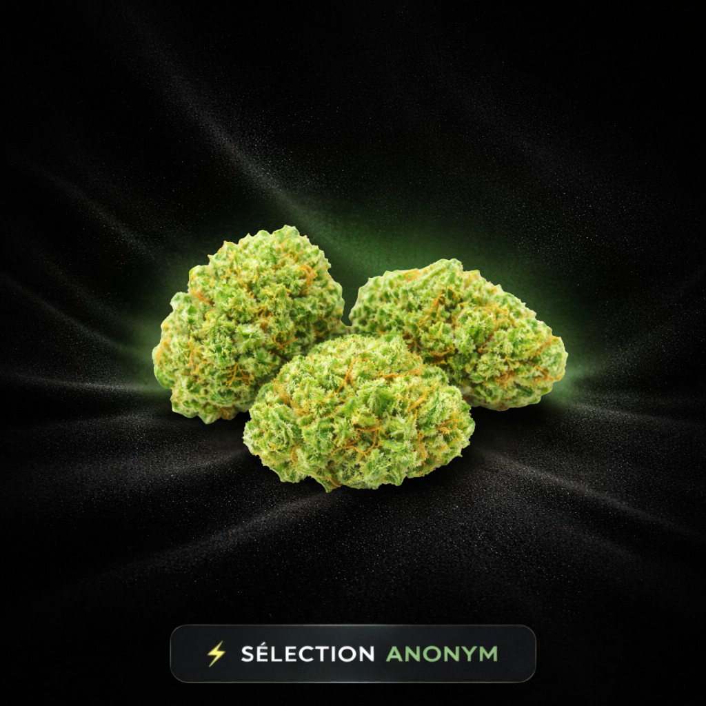 CALI BREEZE  🌬️