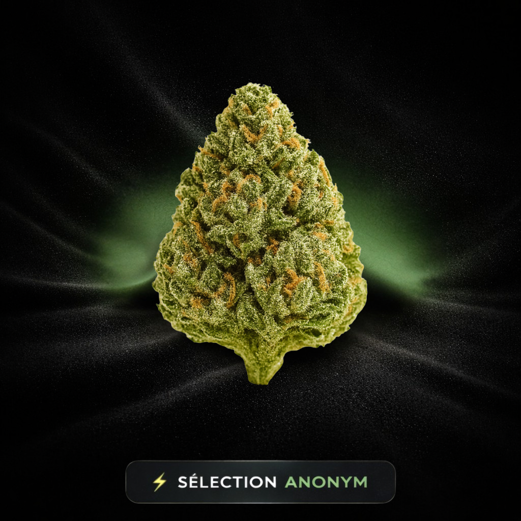 AMNESIA CBD 🇨🇭