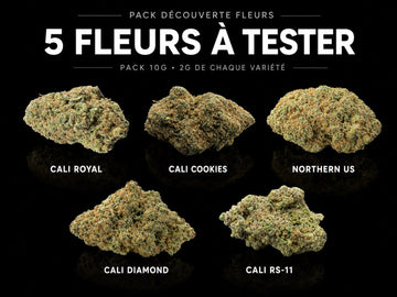Pack Fleurs CBD