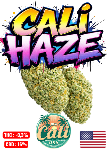 CALI HAZE 🍧
