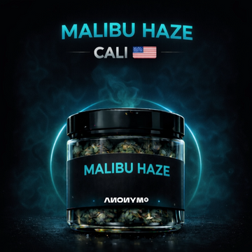 MALIBU HAZE 🌴