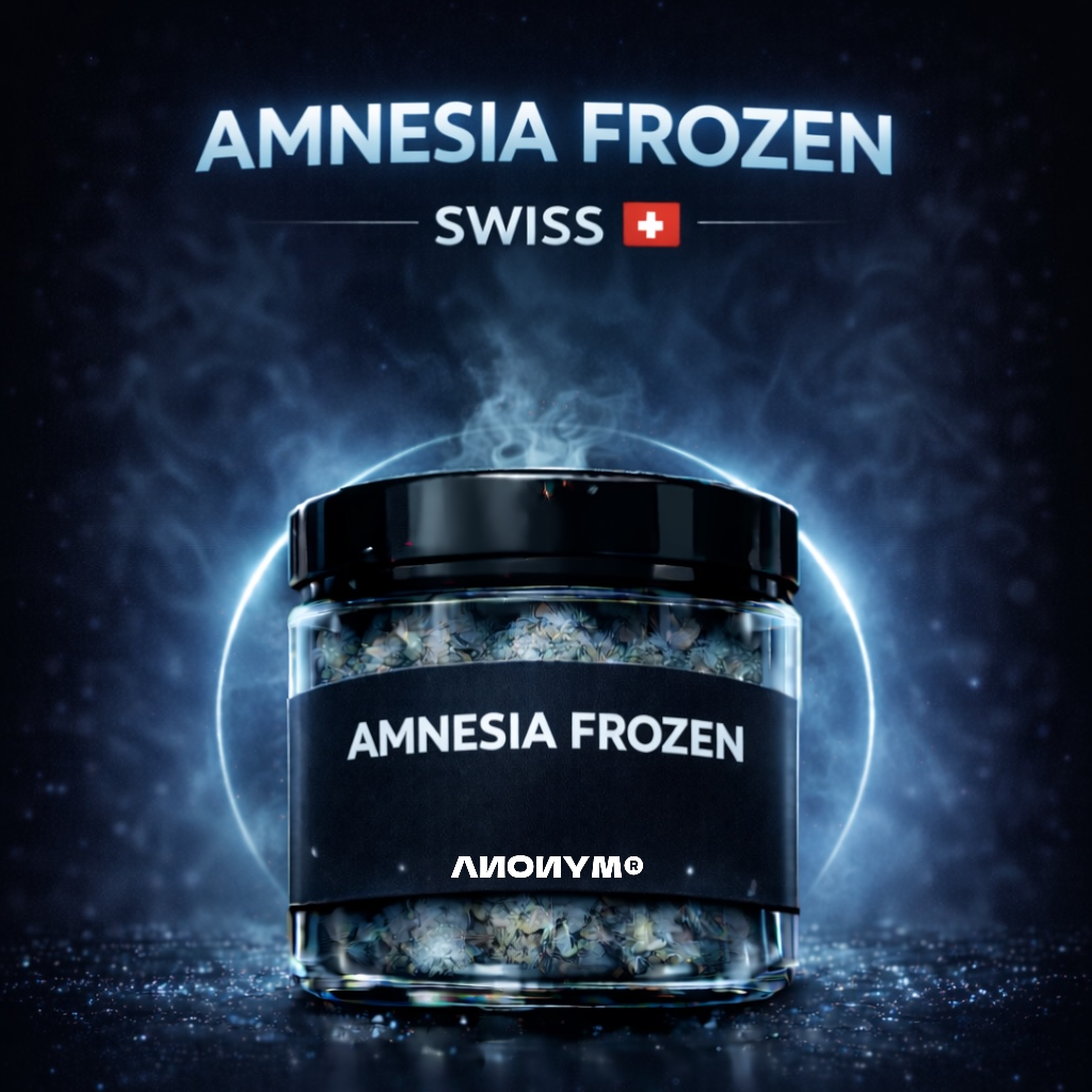 AMNESIA FROZEN