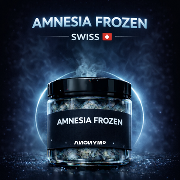 AMNESIA FROZEN
