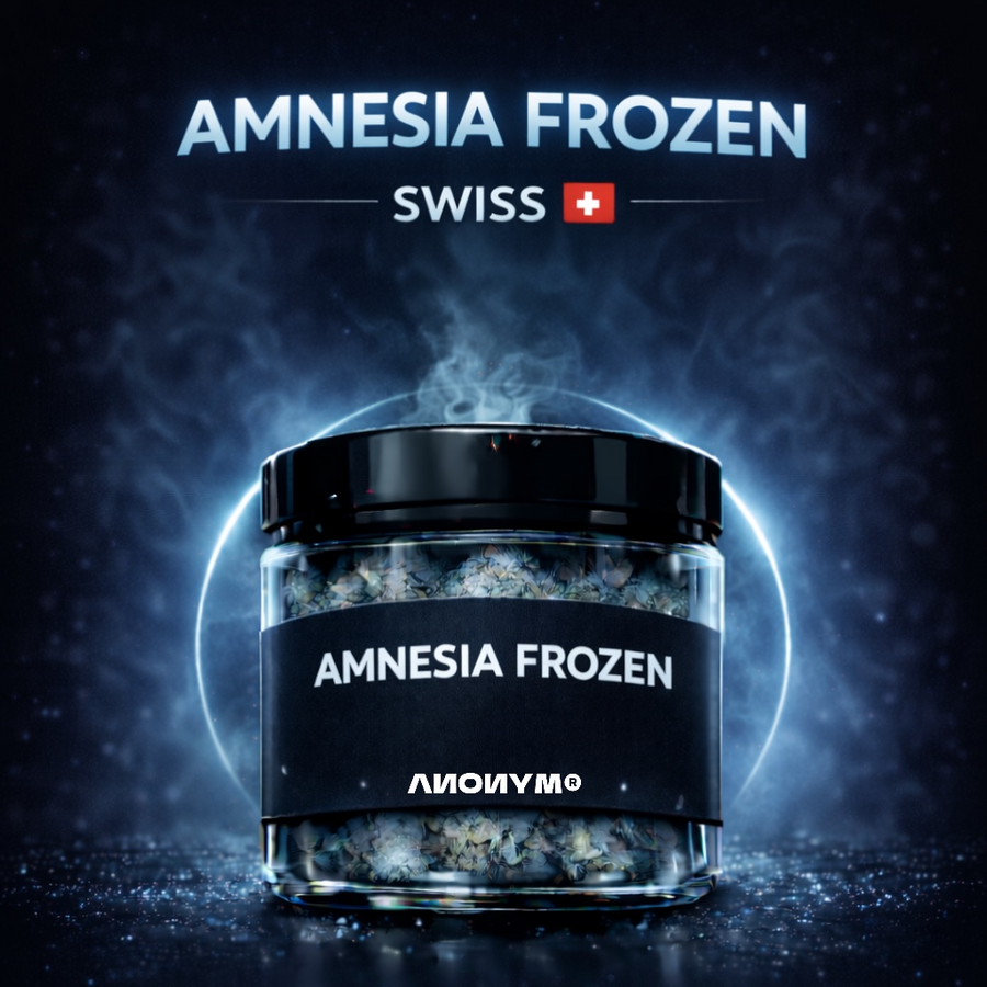 AMNESIA FROZEN